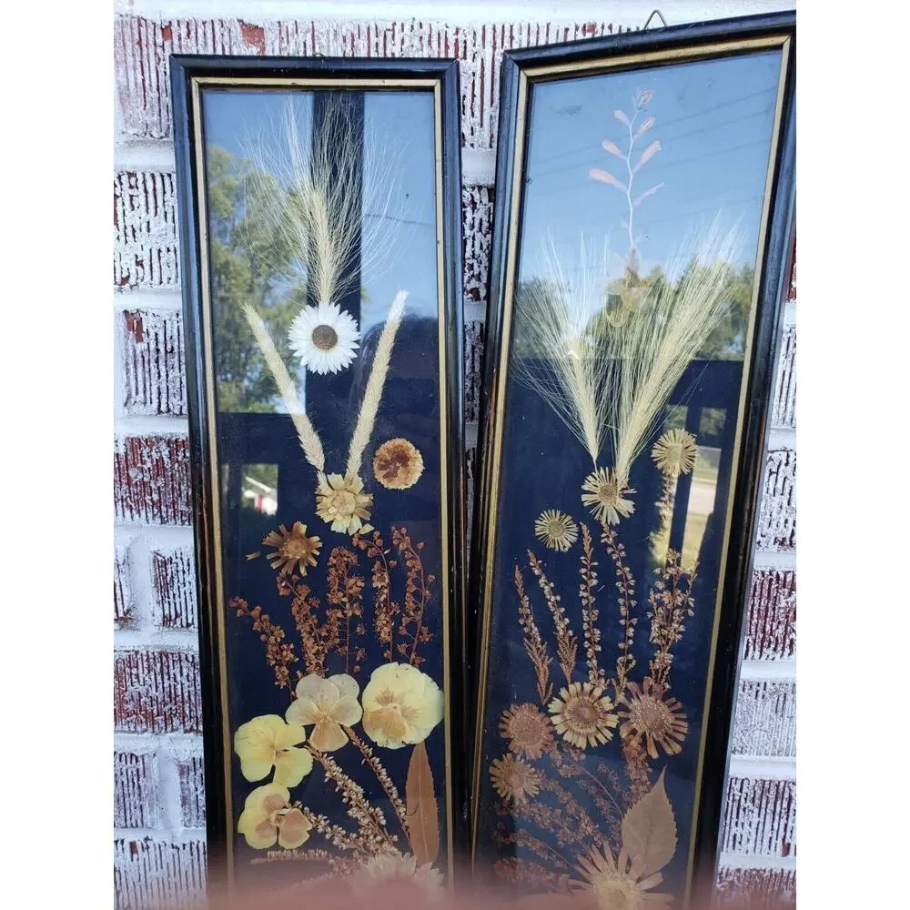 2 ANTIQUE ROCCOCO FRAMED DRIED FLOWER pressed‎ poland victorian oddity wall art